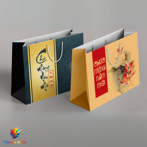Túi giấy quà Tết TG01
