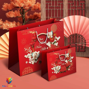 Túi giấy quà Tết TG07