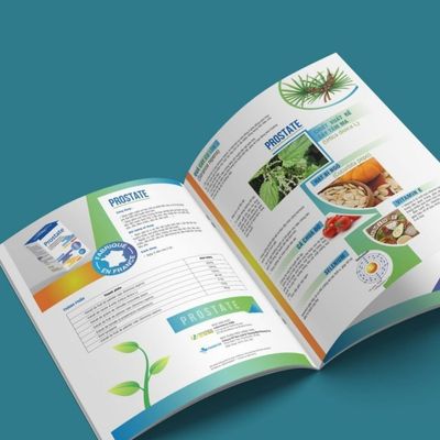 In Nhanh Catalogue A4 Dọc – Keo Gáy Vuông, Giấy Bìa Mềm